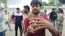 Young man performing tricks with a poisonous snake in his hand.