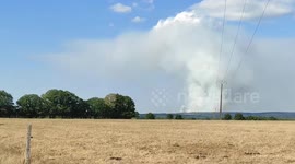 France: Fire Breaks Out in Brocéliande Forest, Burning Nearly 100 Hectares