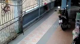 Brave dog alerts homeowner before snake attack