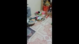 Resident catches baby cobra with a plastic water bottle