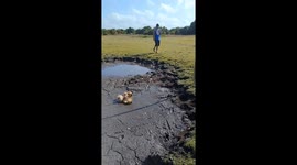 Man's effort to retrieve toy from pond turns comical as he falls into mud