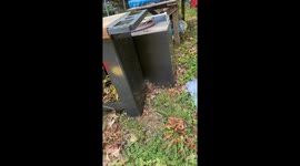 Spider jumps out of web in abandoned cabinet in Egg Harbor, New Jersey, USA