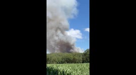 France: Fire Breaks Out in Brocéliande Forest, Burning Nearly 100 Hectares 2