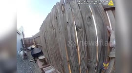 Phoenix Police Corral Herd of Goats After Home Invasion