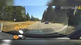Grappler Stops Auto Thief After High-Speed Pursuit in Washington