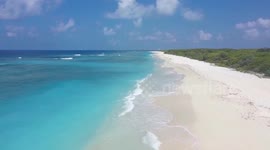Nearly 100 sea turtle nests found in Sansha waters