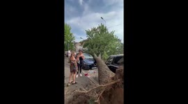 Powerful storm topples trees in Romania
