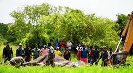 Brave Effort to Save Sick Tusker Using JCB | Bathiya the Elephant - Galgamuwa Rescue Mission