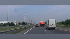 Lorry driver swerves into oncoming car to save duck family crossing road