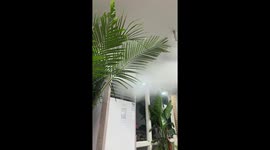 Ceiling fan circulates thick mist from floor AC in restaurant in Shanxi, China