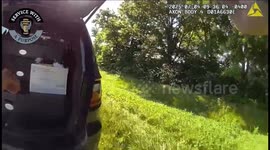 Ohio Trooper Rescues Orphaned Ducklings on I-70