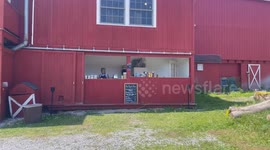 Apple Barn event with Blueberry booth in the back in Bennington Vermont