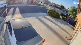 Man climbs pickup to escape chasing dog in Victorville, California, USA