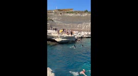 Jack Russell Pup Cools Off Diving Into Water