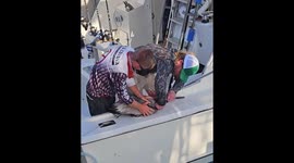 Pelican Rescue