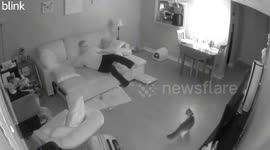Woman slips on her own vomit, startling cat in Louisville, Kentucky