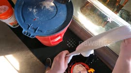 “Barking” stingray protests barb trim, charms 4 million TikTok viewers