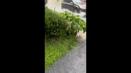 US: Torrential Rain Hits North of DC, Sparks Flash Flood Emergency 2
