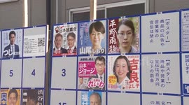 Japan: Japan's ruling coalition suffers setback in upper house election