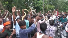Devotees Carry Hundreds of Snakes in the streets of Bihar During 'Nag Panchami' Fair