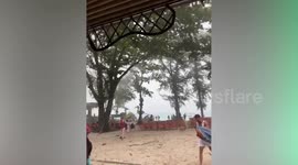 Chinese tourist, 52, killed by falling tree during Typhoon Wipha onslaught in Thailand