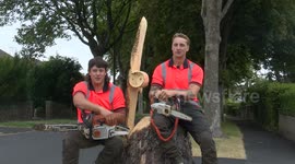 Dorset Council Tree Surgeon Workers Show Off Their Carving Skills When They Removed Damaged Tree