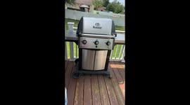 Squirrel family found nesting inside grill in Philadelphia, Pennsylvania, USA