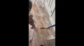 Kids cover entire room in baby powder chaos in New Orleans, Louisiana, USA