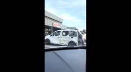 This Dog Is a Troublemaker