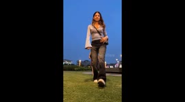 Dog Piddles On Phone During Content Creation