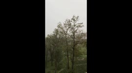 Loud lightning strike hits trees during rain in Qinghai, China