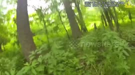 US: Police Officer Dives Into River To Capture Fugitive After Month-Long Hunt