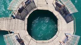 Wooden pier on the beach at Kino Bay in the municipality of Hermosillo, part of the Gulf of California, also known as the Sea of Cortez or Bermejo Sea, in the central-western region of the state of Sonora, in the Sonoran Desert, and on the coast of the Se