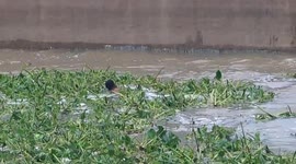 Drowning man saved by fishermen from raging water dam in the Philippines