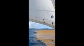 Sailboat navigates through thick seaweed patch in Saint John, US Virgin Islands