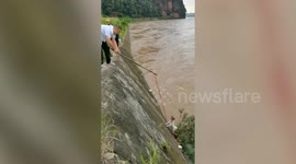 Tense moment passer-by rescues dog from rushing river
