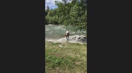 Dog refuses to leave river on hot day in Bressanone, Italy