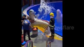 Beluga whale extinguishes flames in Chinese aquarium's fire drill stunt