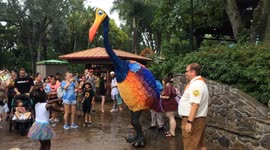 Giant Bird character wanders the crowd and pretends to fall asleep