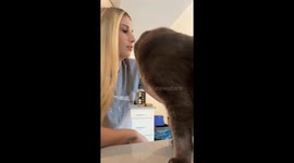 Acrylic Nails Stuck to Cat's Rear