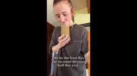 Fruit flies force TikToker to invent wild coffee ritual, video hits 8 million views