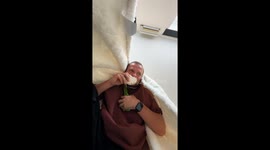 Doberman Takes Food From Owner