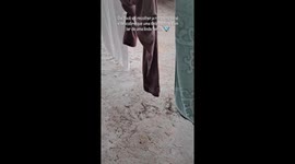 Innovative birds make nest inside jeans hung up on on clothesline