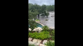 Deer Rescue in Texas Hill Country Flood 2025