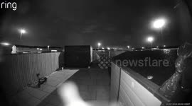 Slug sets off ring camera - wakes woman in middle of the night