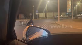 Pet owner rides cart pulled by pack of Alaskan malamutes in China