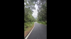 Misty Monsoon View of Onake Abbi Falls from Kasanamakki