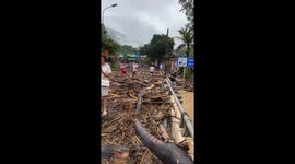 Thousands of trees and many houses were destroyed by flash floods caused by Typhoon Wipha in Vietnam
