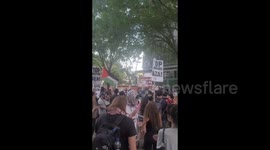 US: Pro-Palestinian Rally Takes Place in Manhattan, New York