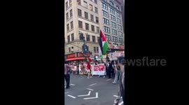 US: Large Crowd Rallies for Palestine in New York City